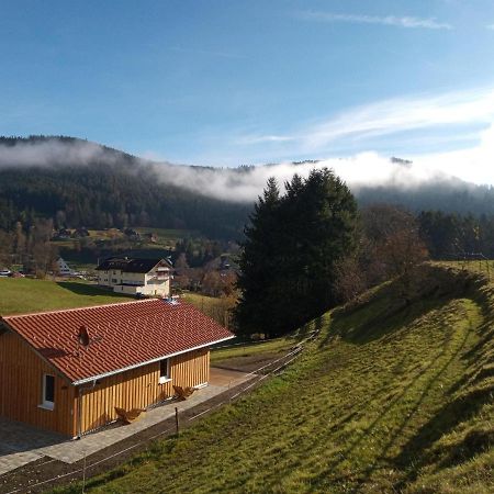S'Heimatgfuehl Villa Schwarzenberg  Luaran gambar